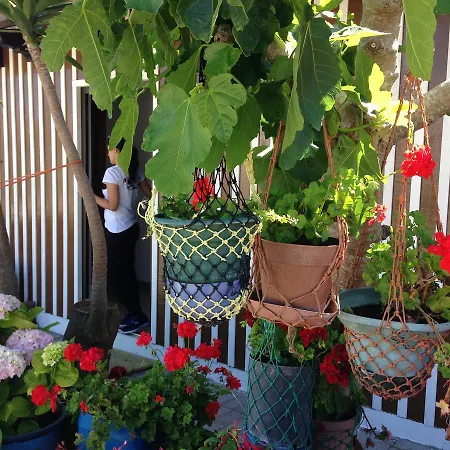 Palheiros De Mira * 프라이아 데 미라