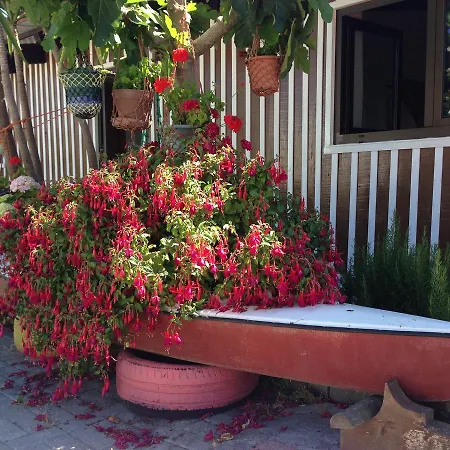 Palheiros De Mira Herberg *