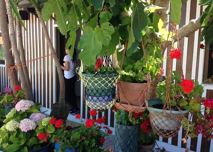 Palheiros De Mira * 普拉亚德米拉