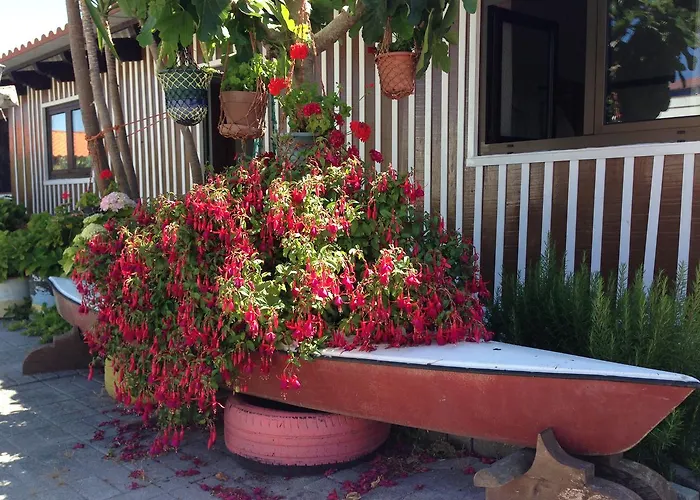 Palheiros De Mira 宾馆 *