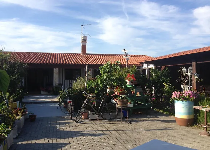 宾馆 Palheiros De Mira