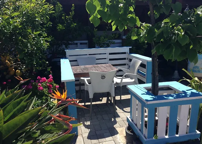 Palheiros De Mira * 普拉亚德米拉