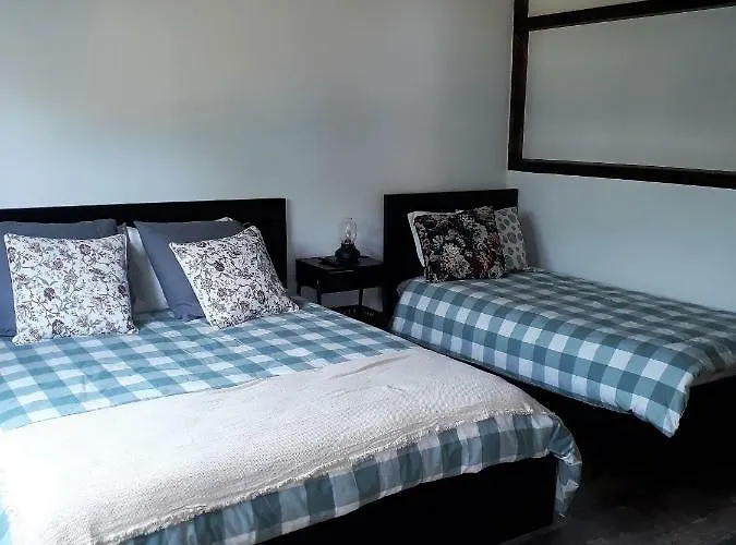 Palheiros De Mira * 普拉亚德米拉